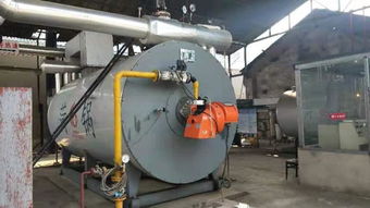 【蚌埠銷售2噸4噸燃?xì)庹羝仩t批發(fā)】-