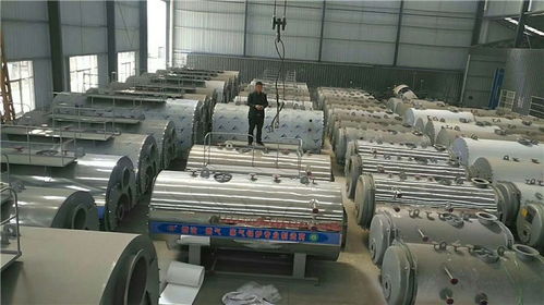 赤峰0.5t燃?xì)庹羝仩t定制 遠(yuǎn)大太康鍋爐廠 蒸汽鍋爐高清圖片 高清大圖