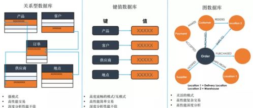 數字化轉型浪潮下，TigerGraph圖技術能否成為數字技術服務新寵兒？